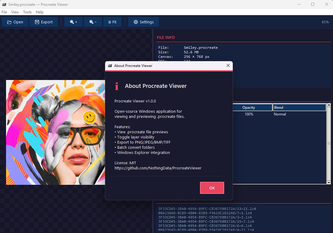 Metadata and file details